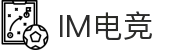 IM(股份有限公司)电竞-电子竞技平台